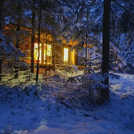 펜션 Pod Hala Krupowa - Tiny House W Lesie