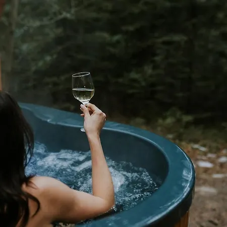 Дом отдыха Pod Hala Krupowa - Tiny House W Lesie *