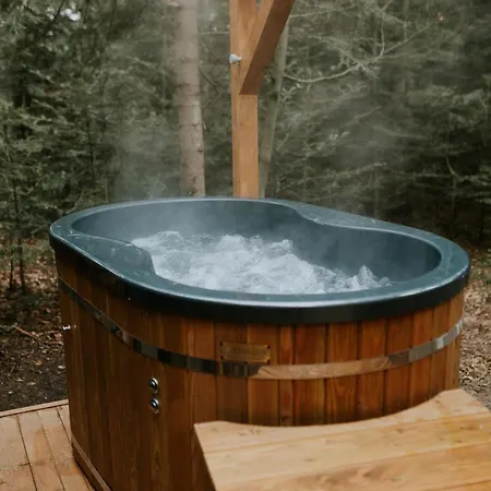 Pod Hala Krupowa - Tiny House W Lesie Sidzina