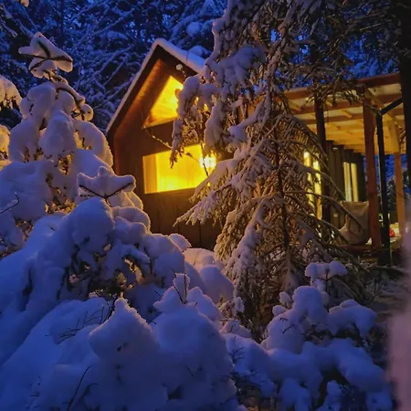 Дом отдыха Pod Hala Krupowa - Tiny House W Lesie Sidzina