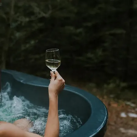 Pod Hala Krupowa - Tiny House W Lesie Sidzina