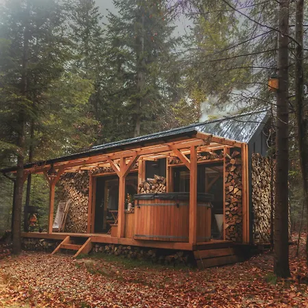Pod Hala Krupowa - Tiny House W Lesie *