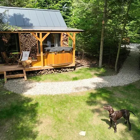펜션 Pod Hala Krupowa - Tiny House W Lesie *