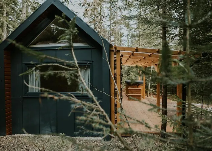 Pod Hala Krupowa - Tiny House W Lesie *