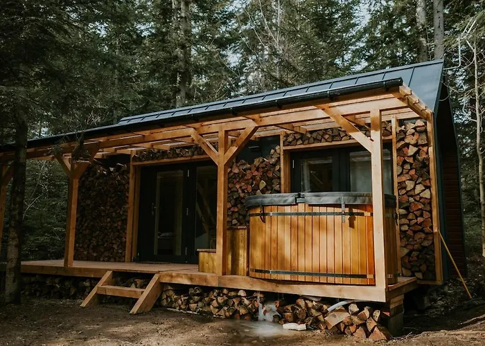 Pod Hala Krupowa - Tiny House W Lesie * Sidzina